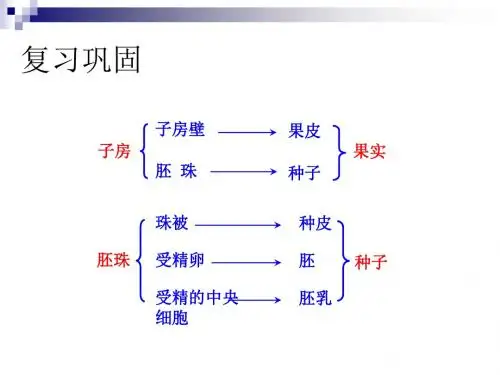 种子萌发课件 (1)