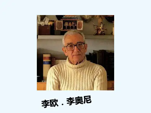 小黑鱼(公开课) PPT