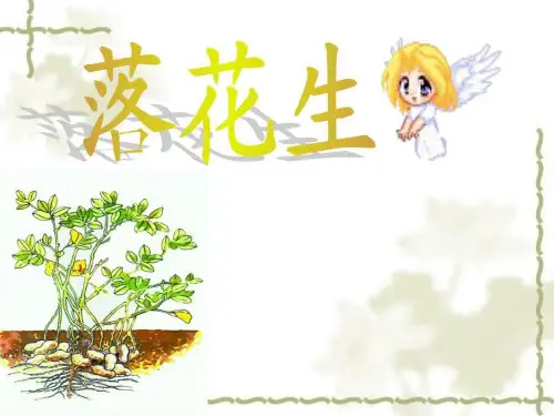 落花生-教学课件_1568213925