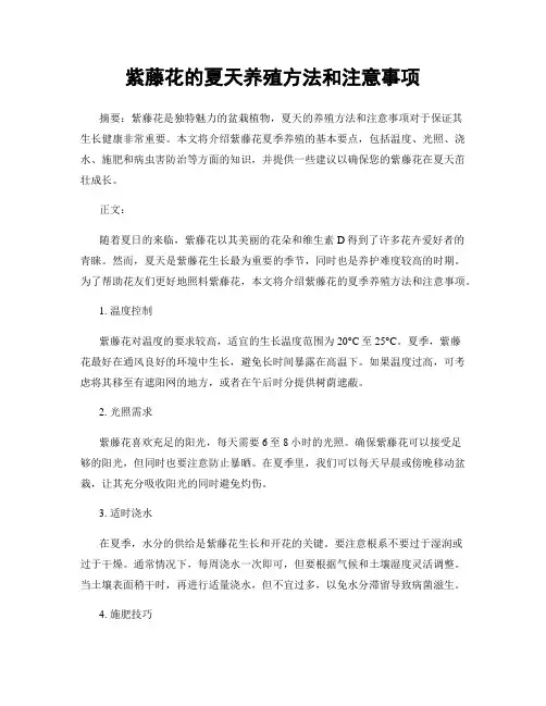 紫藤花的夏天养殖方法和注意事项