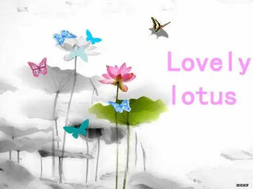 lotus