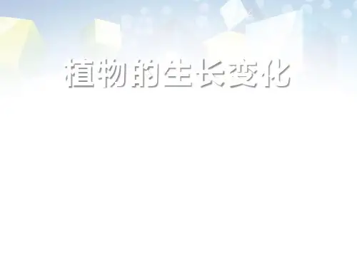 《植物的生长变化》生长与变化2 图文