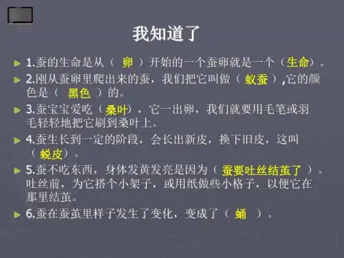蛹变成了什么