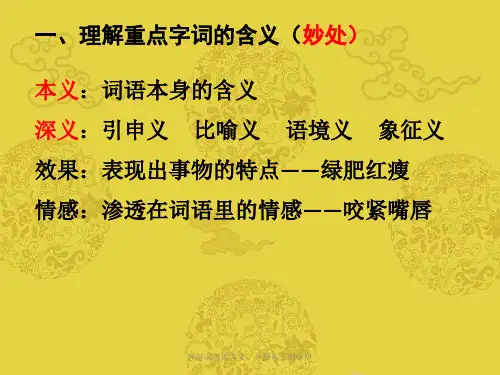 理解词语的含义、分析句子的作用