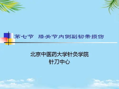 【优文档】膝关节内侧副韧带损伤PPT