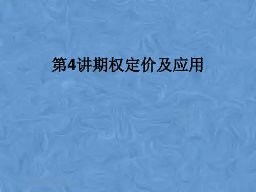 第4讲期权定价及应用