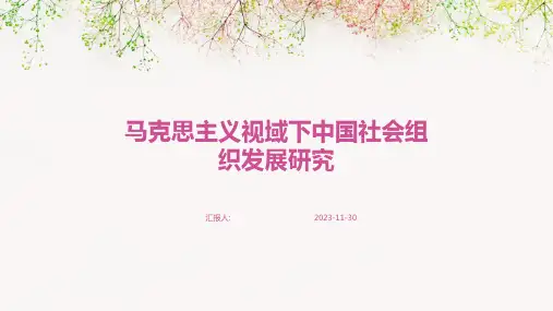 马克思主义视域下中国社会组织发展研究