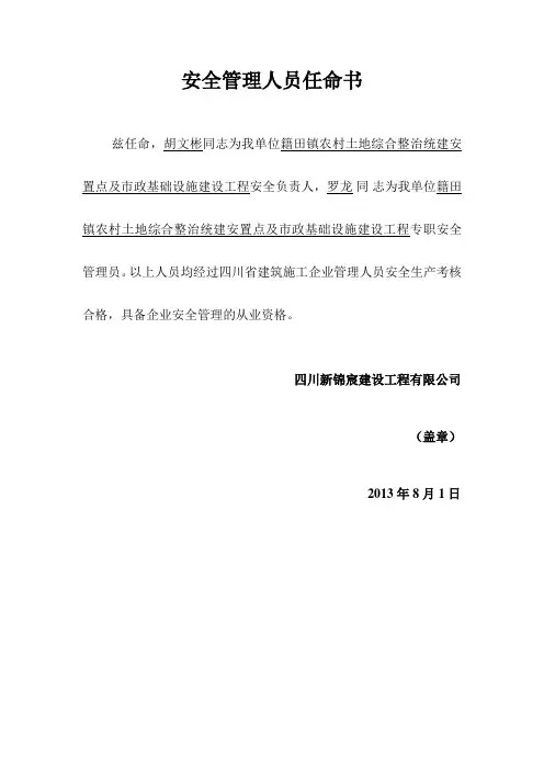 安全管理人员任命书 2