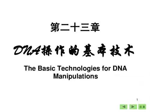 8年制生物化学与分子生物学 第23章 DNA操作的基本技术