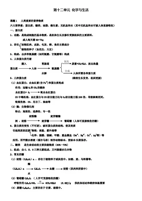 中考化学知识点总复习九年级第十二单元化学与生活