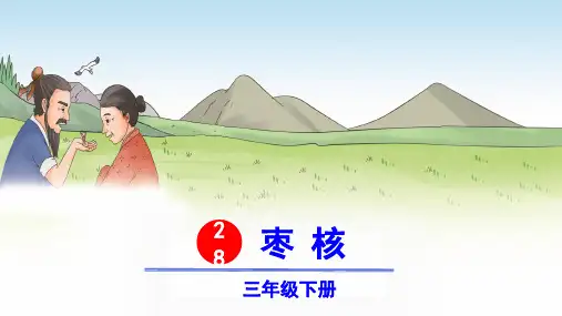 部编版三年级语文下册第28课《枣核》精美课件(统编)