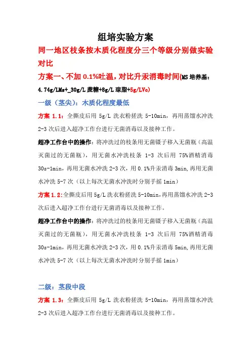 组培实验方案