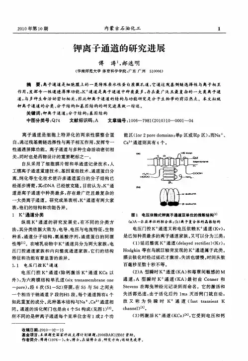 钾离子通道的研究进展