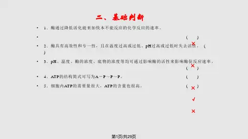 高中生物人教必修一下篇 细胞的能量供应和利用PPT课件