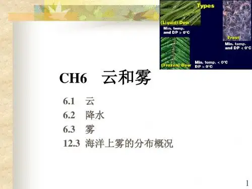 6.云、降水和雾