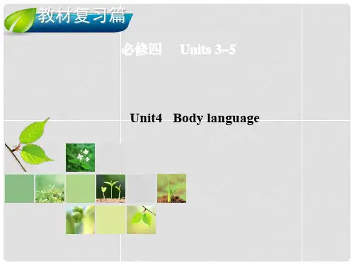 高考英语总复习 Unit 4 Body language课件 新人教版必修4
