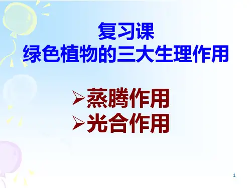 植物三大作用复习PPT课件