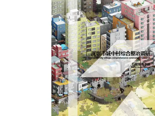 XX城中村综合整治调研