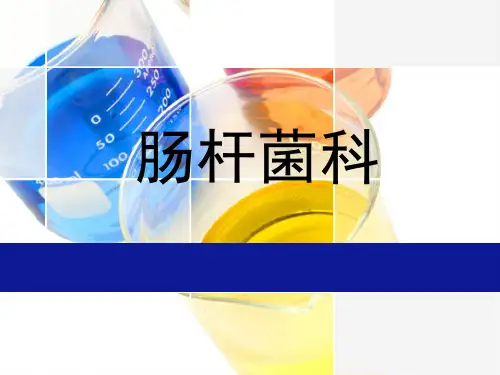 肠杆菌科-PPT课件