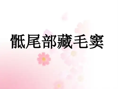 骶尾部藏毛窦