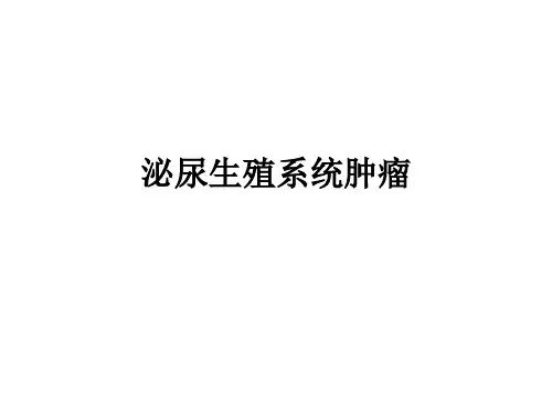 泌尿生殖系统肿瘤
