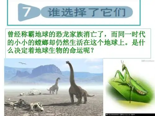 教科版科学六年级上册《谁选择了它们》PPT