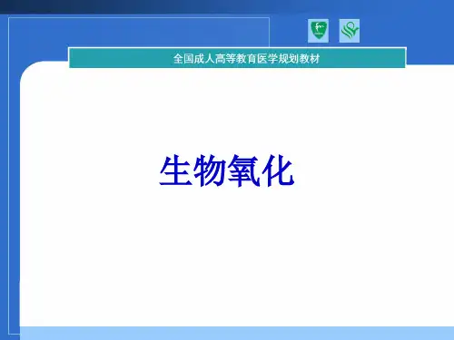 第7章生物氧化