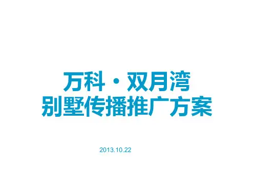 马一丁-万科双月湾别墅推广方案