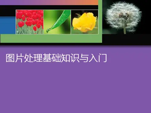 图片处理基础知识与入门