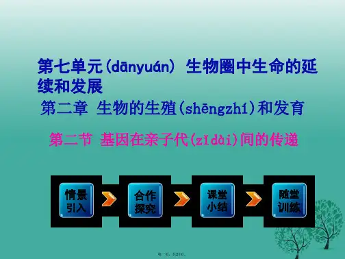 八年级生物下册第7单元第2章第2节基因在亲子代间的传递课件(新版)新人教版