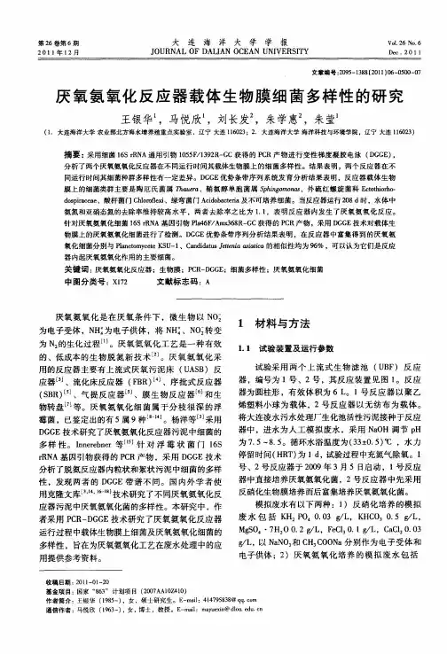 厌氧氨氧化反应器载体生物膜细菌多样性的研究
