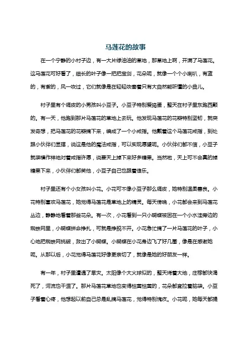 马莲花的故事