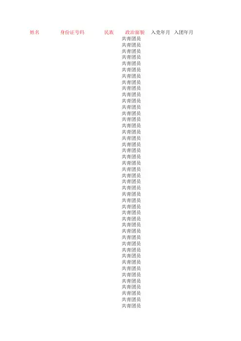 2013级团员信息统计样表