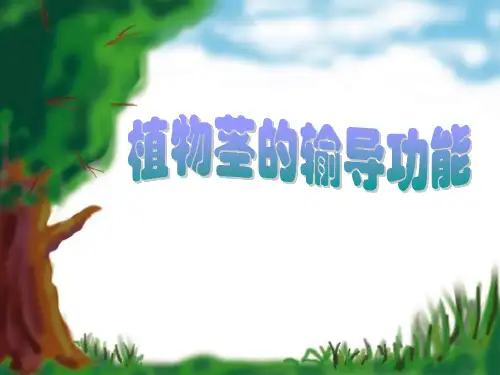 《植物茎的输导功能》下载-苏教版七年级生物上册PPT课件