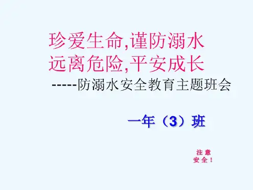小学防溺水安全教育主题班会