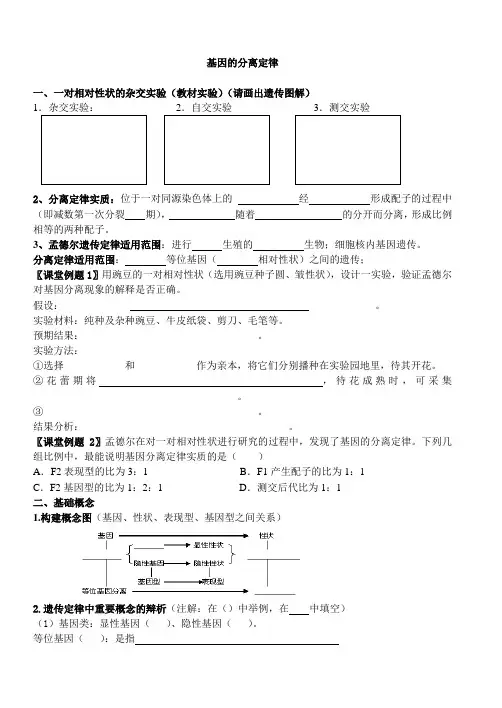 基因的分离定律