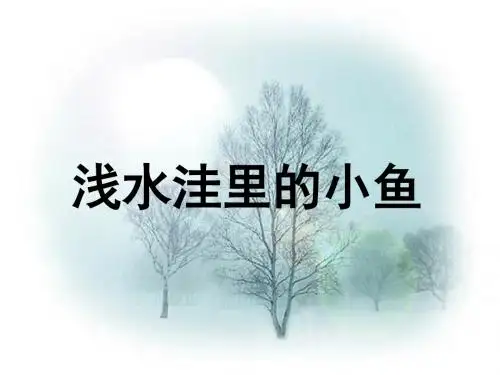 部编版小学二年级语文上册8《浅水洼里的小鱼
