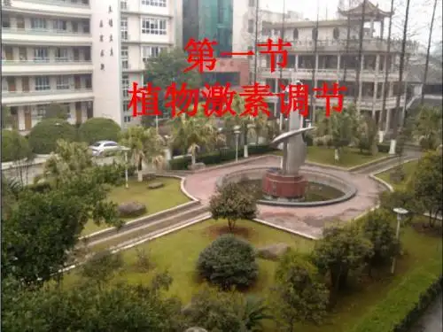 浙科版必修三 植物激素调节(第一课时) 名师制作优质课件 (9张)