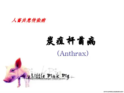 炭疽杆菌病
