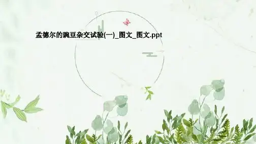 孟德尔的豌豆杂交试验(一)_图文_图文