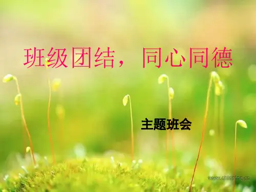 主题班会课件同心同德