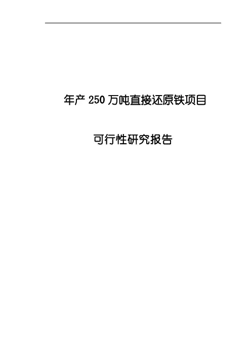 年产250万吨直接还原铁项目可行性研究报告