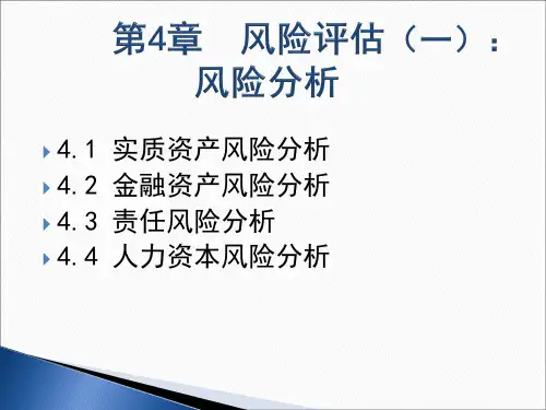 第四章 风险评估(一)：风险分析