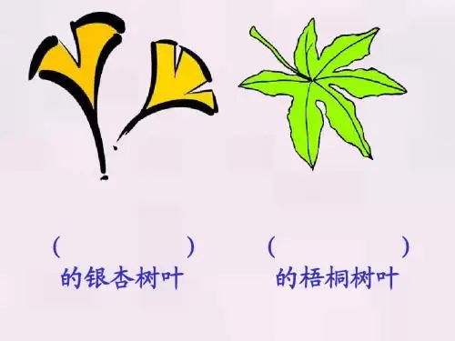 19《蓝色的树叶》课件PPT