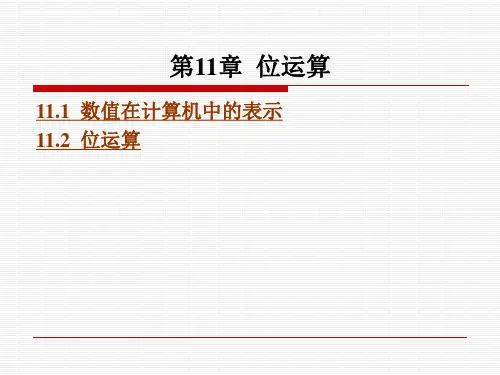 数值在计算机中的表示