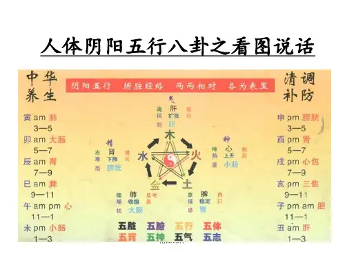 人体阴阳五行八卦之看图说话_2(1)