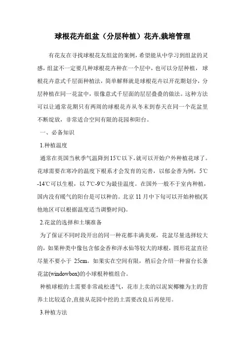 球根花卉组盆(分层种植)花卉(栽培管理)
