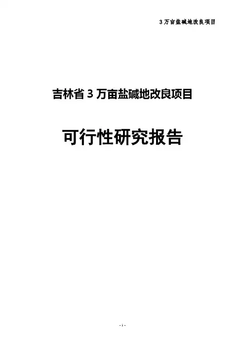 吉林省3万亩盐碱地改良项目可行性研究报告
