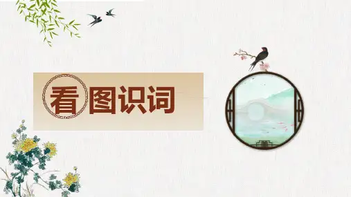 《声声慢》 李清照 课件(共15页PPT)