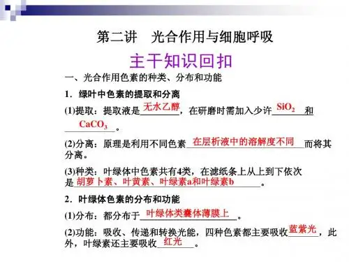 2012高考生物二轮复习精品课件 专题二 细胞的代谢(2)